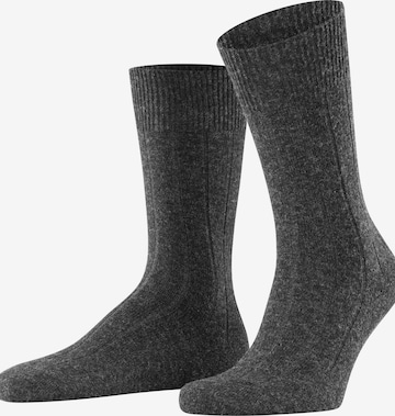 FALKE Socken 'Lhasa Rib' in Grau: Vorderseite