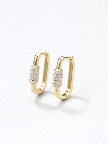 Hey Happiness Ohrringe 'Carabiner' in Gold