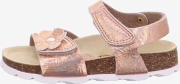 SUPERFIT - Sandalias en bronce