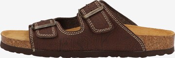 COSMOS COMFORT Mules in Brown: front
