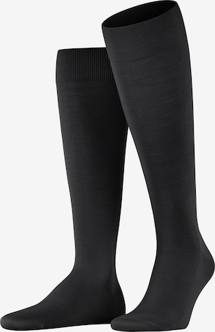 FALKE Kniestrümpfe 'ClimaWool' in Schwarz: Vorderseite