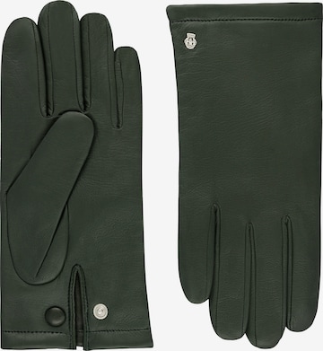 Roeckl Fingerhandschuhe 'Montauk' in Grün: Vorderseite
