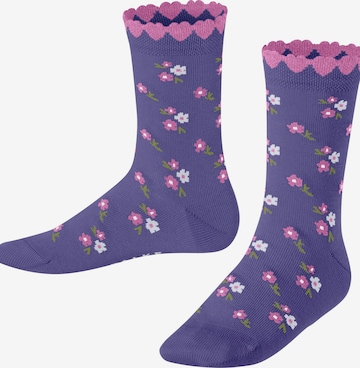 FALKE Socks 'Ditsy Flowers' in Purple: front