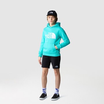 THE NORTH FACE Sweatshirt 'Drew Peak' in Green