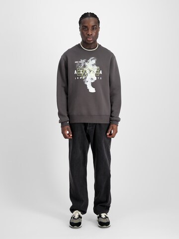 ALPHA INDUSTRIES Bluzka sportowa w kolorze szary