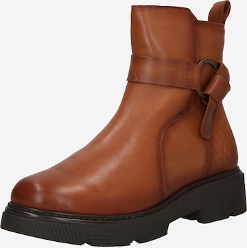 Bottines 'Edana' TT. BAGATT en marron : devant