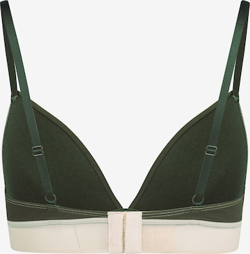 Skiny Triangle Bra in Green