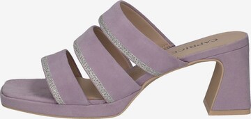 CAPRICE Pantolette in Lila