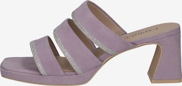 Mule CAPRICE en violet