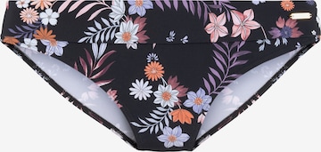 SUNSEEKER Bikinihousut värissä musta: etupuoli