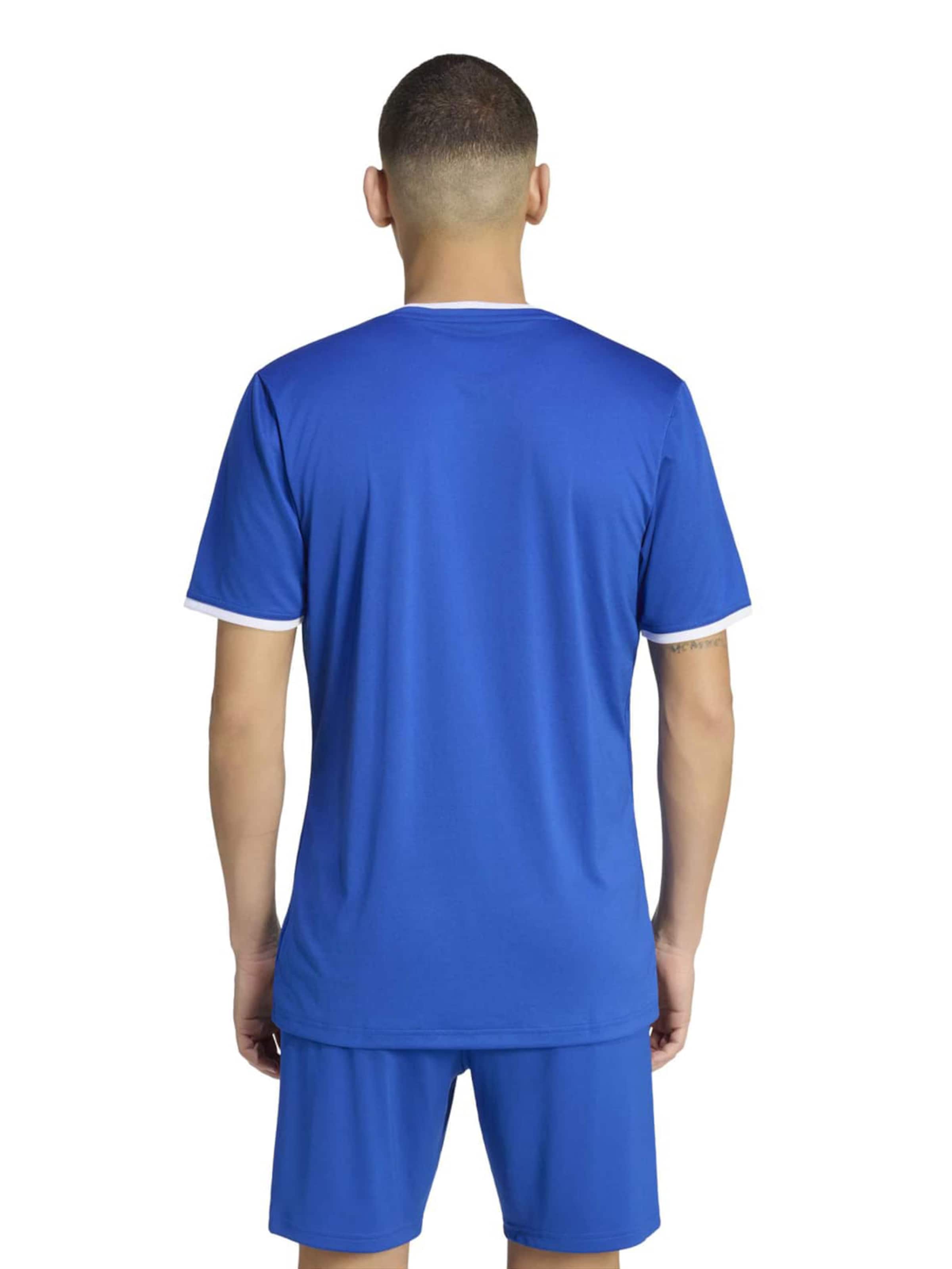 ADIDAS PERFORMANCE Λειτουργικό μπλουζάκι 'ENT26' σε μπλε