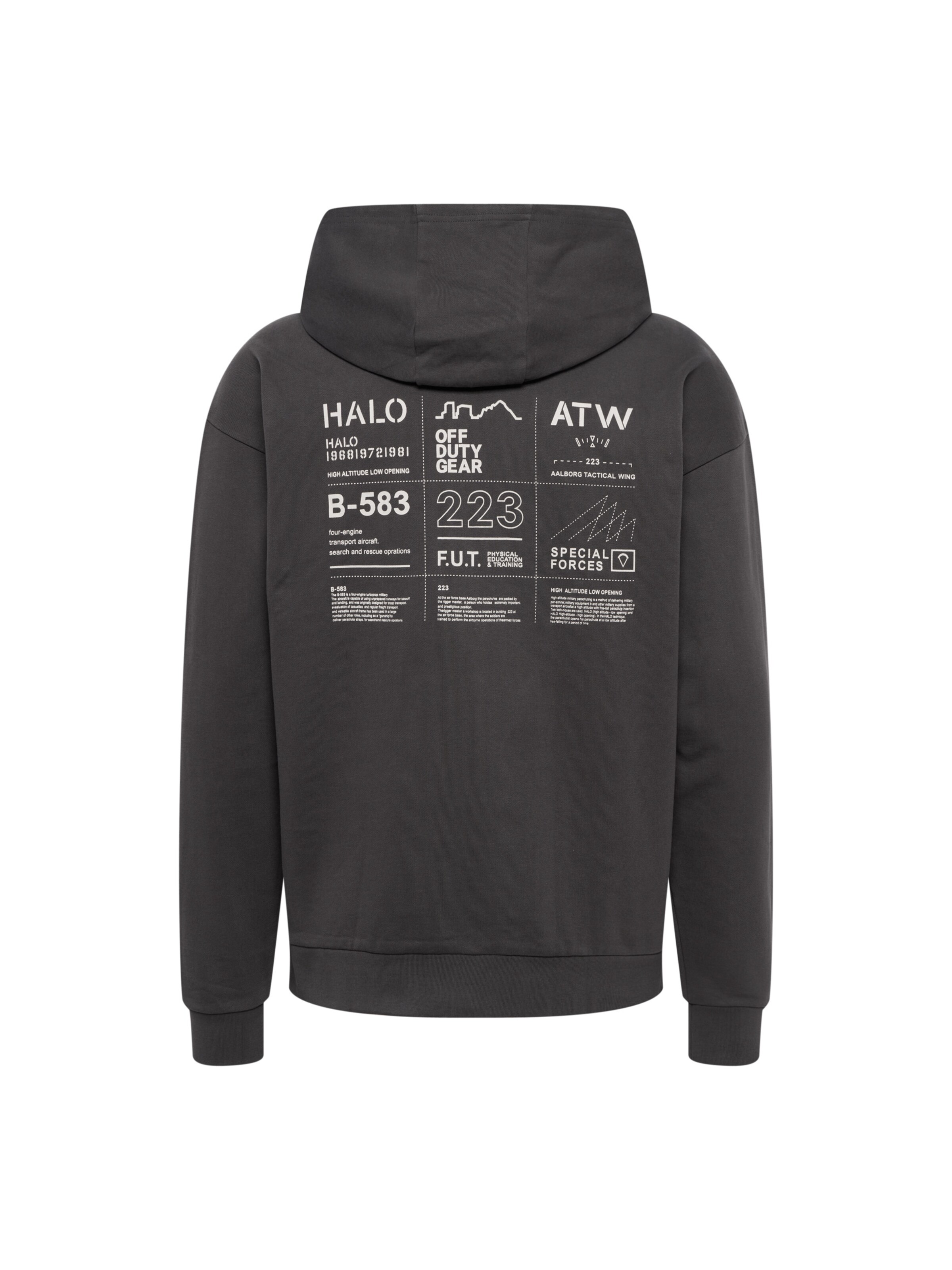 HALO Sweatshirt in Grey