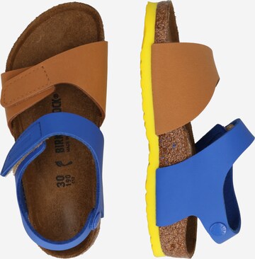BIRKENSTOCK Sandals & Slippers 'Palu' in Brown