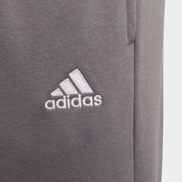 ADIDAS PERFORMANCE Tapered Sportbroek 'Entrada 22' in Grijs