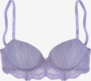 VIVANCE Bra in Purple: front