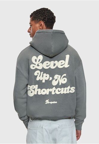 Dropsize Sweatshirt in Grau: Vorderseite