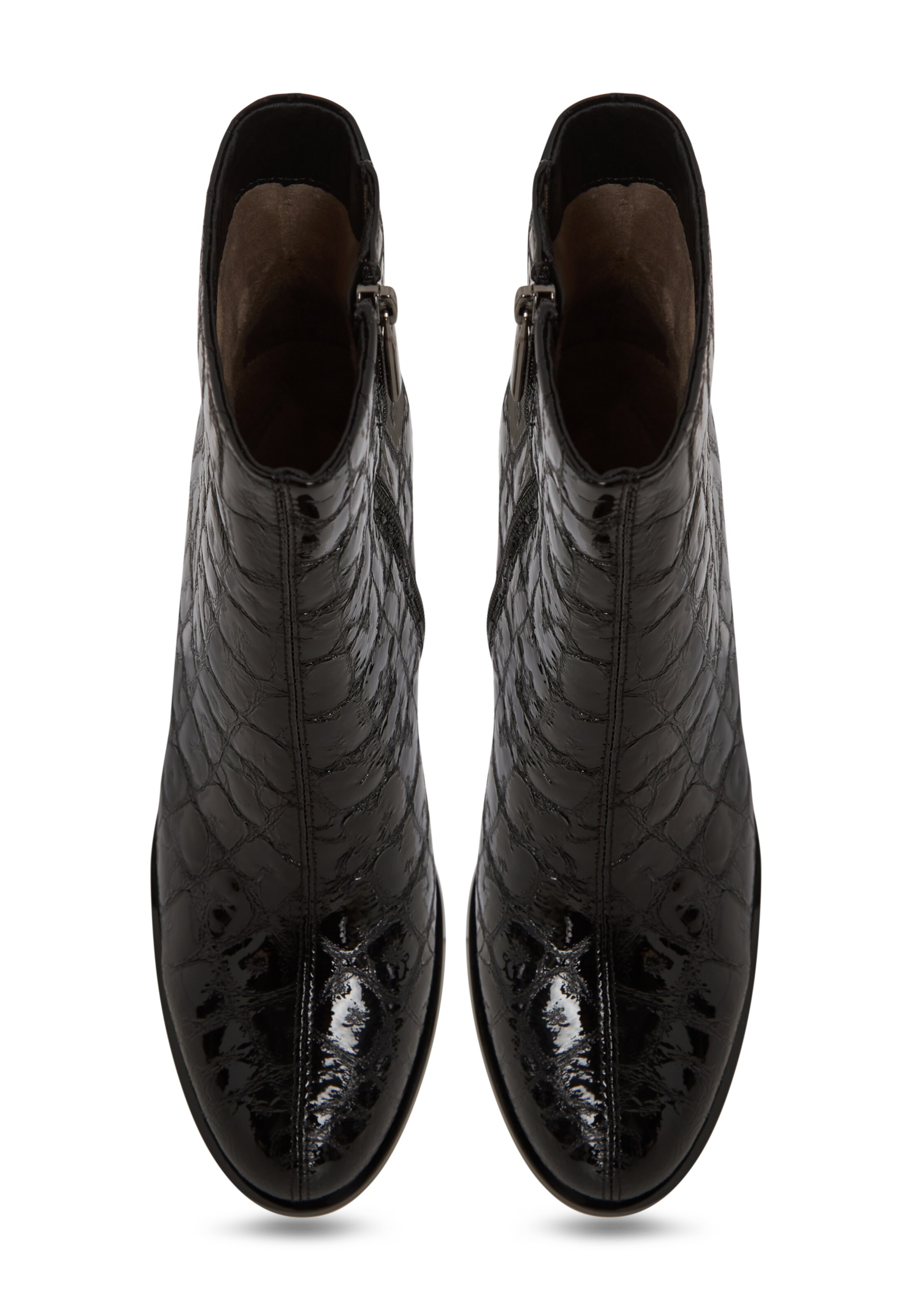 CESARE GASPARI Bootie in Black