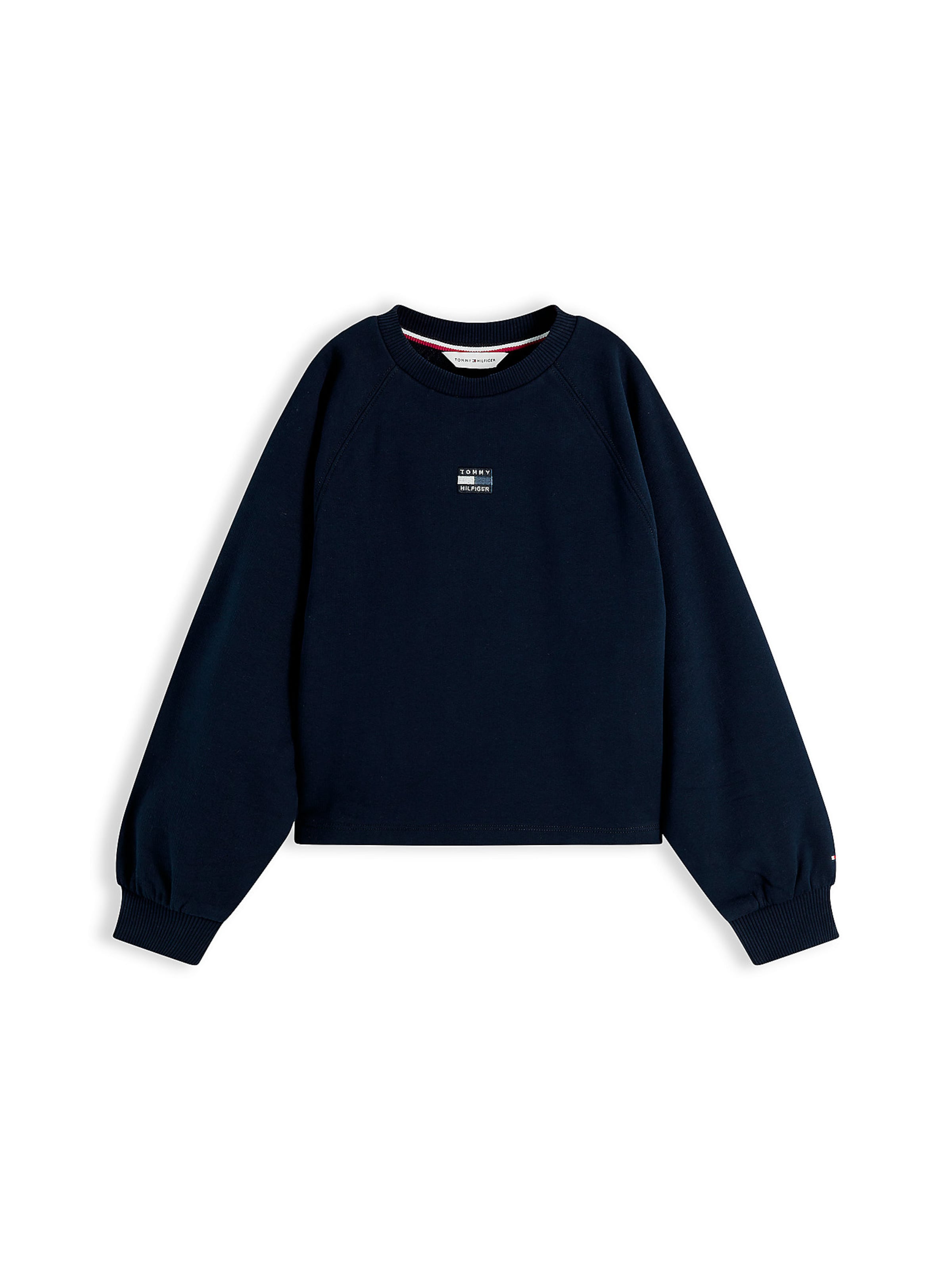 TOMMY HILFIGER Sweatshirt in Blue: front