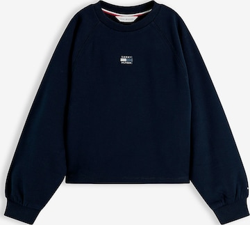 TOMMY HILFIGER Sweatshirt in Blue: front
