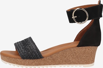 Paul Green Strap Sandals in Black: front