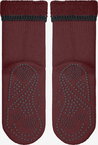 FALKE Socken 'Cuddle Pads' in Rot: Vorderseite