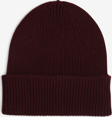 Colorful Standard Beanie in Purple