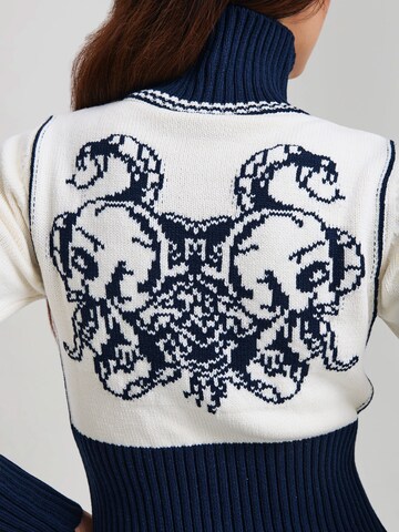 Veste d’hiver Ed Hardy en bleu