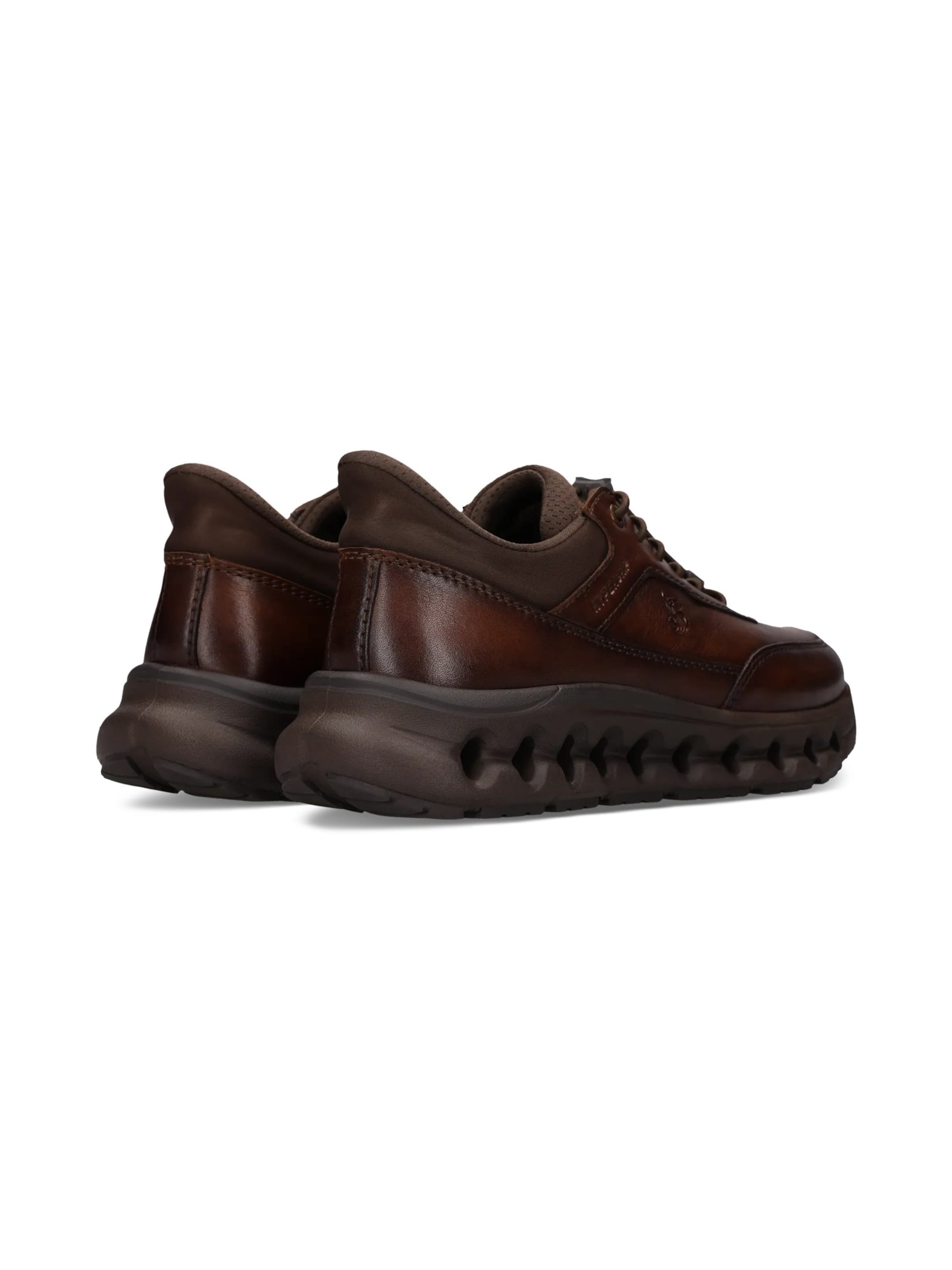 Sneaker bassa di SALAMANDER in marrone