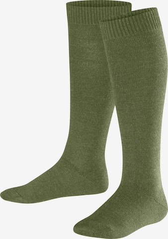FALKE Socks 'Comfort Wool' in Green: front
