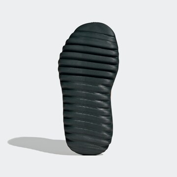 ADIDAS SPORTSWEAR Sandale in Grau