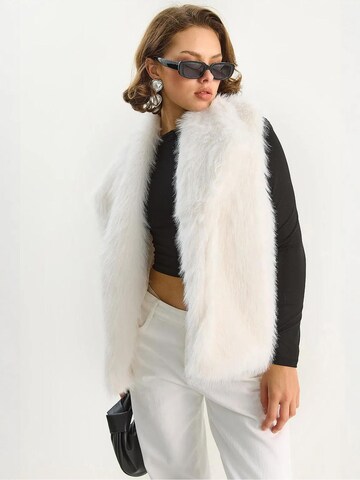 Bianco Lucci Bodywarmer in Beige: voorkant