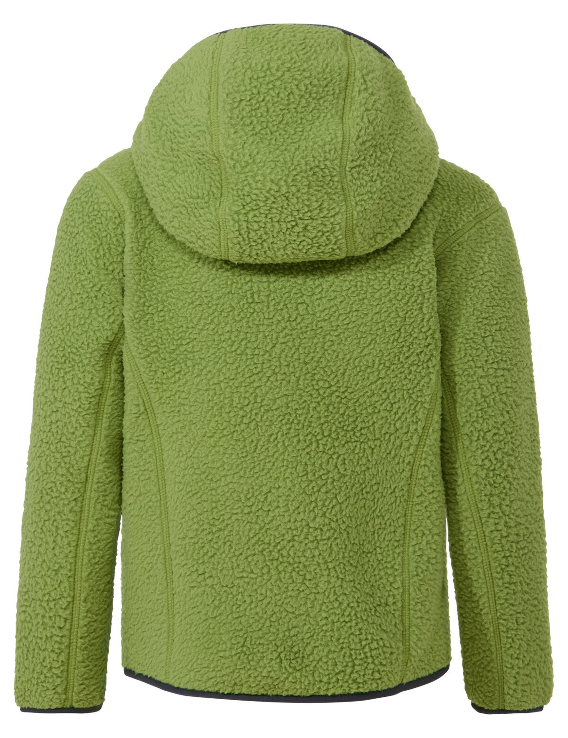 VAUDE Funktionsfleecejacke 'Torridon' in Grün
