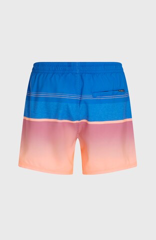 O'NEILL Board Shorts in Blue