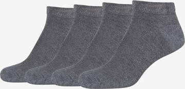 camano Socks in Grey: front