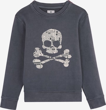 Scalpers Sweatshirt in Grau: predná strana