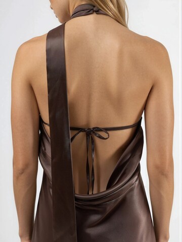 Hiccup Evening Dress in Brown