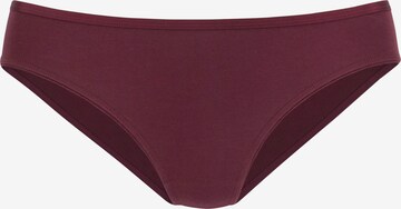 VIVANCE Panty in Grey: front