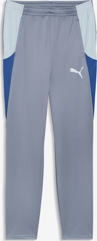 PUMA Sports trousers 'Individual Blaze' in Grey: front