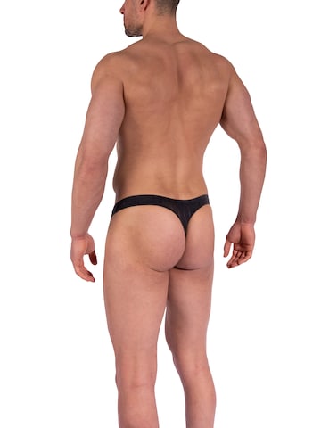 Olaf Benz Panty in Black