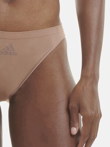 ADIDAS SPORTSWEAR - Calzoncillo deportivo ' Multi Stretch ' en marrón