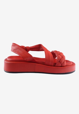 D.MoRo Shoes Sandale in Rot