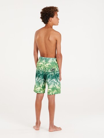 PROTEST Board Shorts 'PRTDANIEL JR' in Green