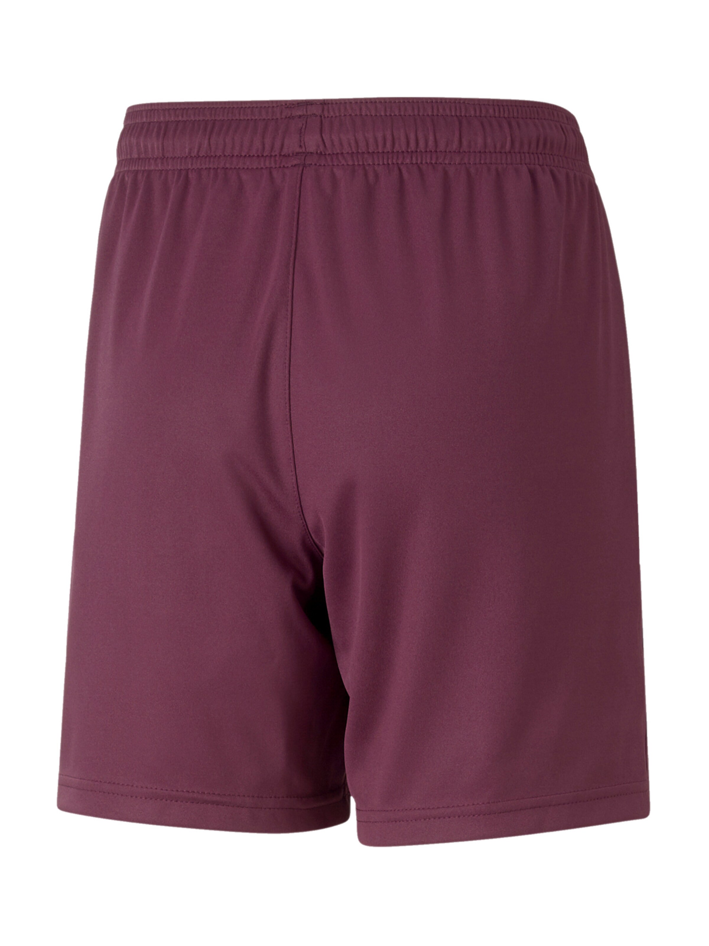 PUMA Regular Workout Pants 'TeamLiga' in Purple