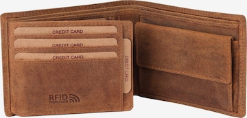 Benthill Wallet in Brown: front
