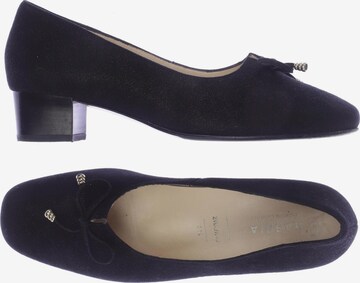 HASSIA Flats & Loafers in 39,5 in Black: front