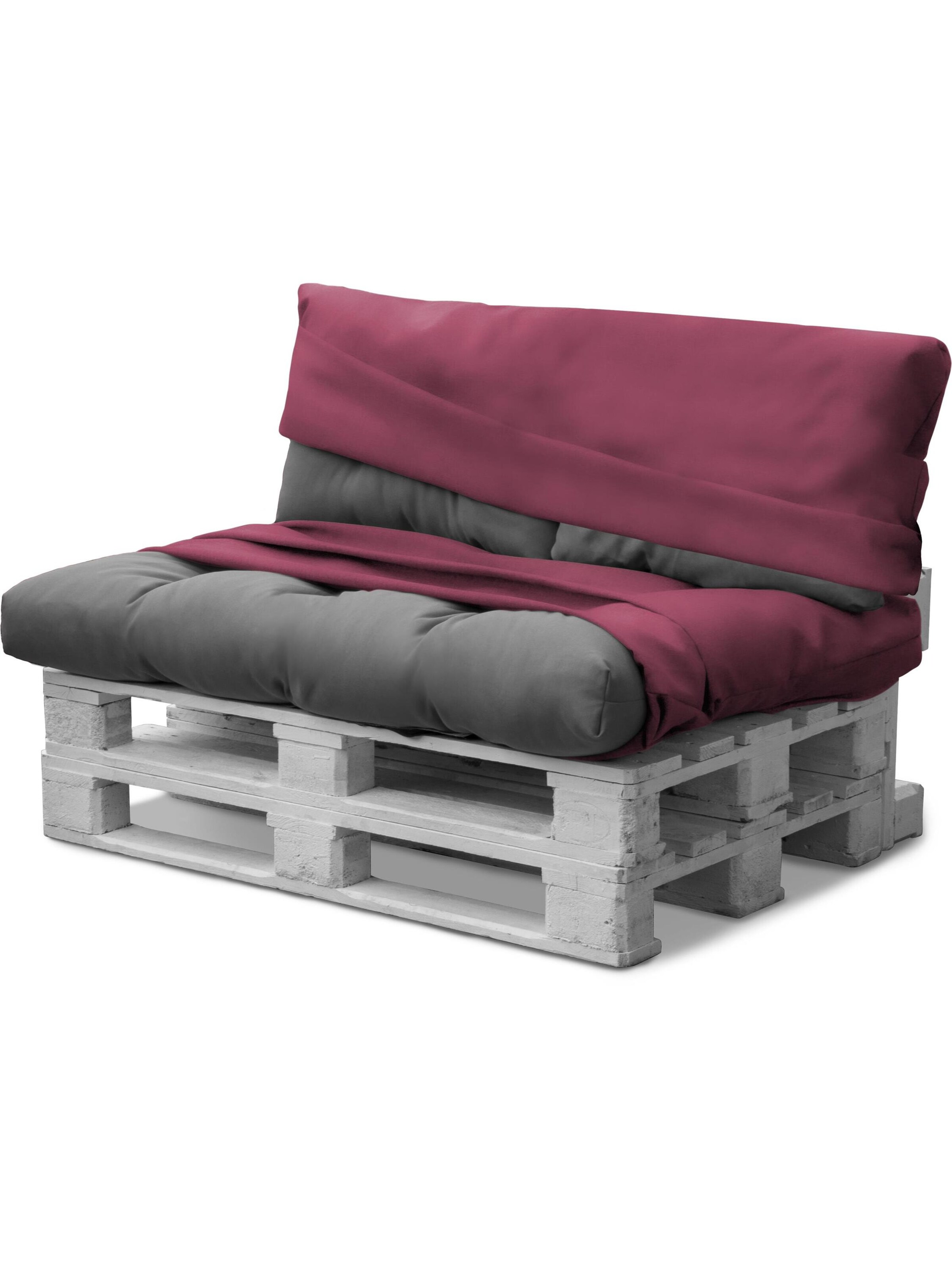 Aspero Zitkussens 'Marsala' in Rood