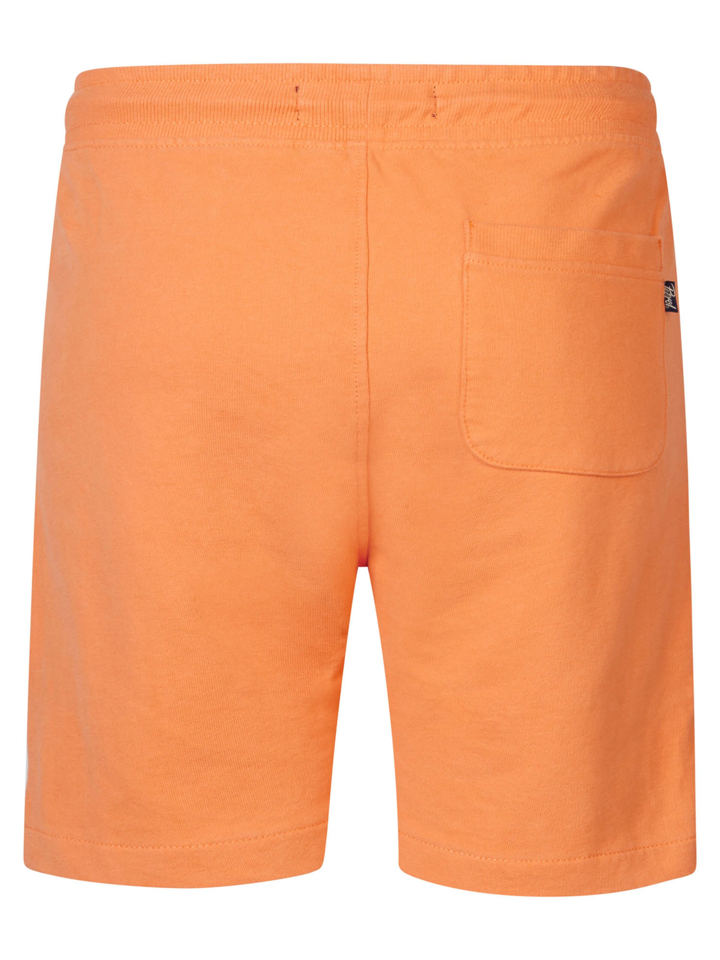 Regular Pantalon 'Sundew' Petrol Industries en orange