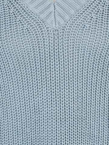 Banana Republic Petite Sweater 'VEE' in Blue