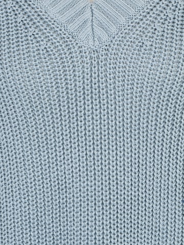 Banana Republic Petite Sweater 'VEE' in Blue