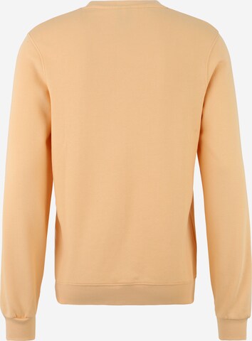 Iriedaily Regular Fit Sweatshirt i orange
